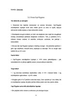 Referāts 'Mikrošķiedras', 11.