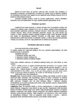 Referāts 'Vadītāja vara un konflikts', 3.