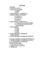 Referāts 'Kokmateriālu apstrāde', 16.