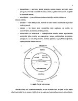 Prakses atskaite 'Viesnīcas "Maritim Park Hotel Rīga" iekšējās un ārējās vides analīze', 6.