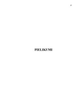 Prakses atskaite 'Viesnīcas "Maritim Park Hotel Rīga" iekšējās un ārējās vides analīze', 27.