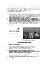 Referāts 'Pakalpojuma - zīdaiņu ārstnieciskā vingrošana jeb Bobata terapija - izstrādājums', 2.