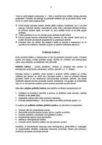 Konspekts 'Politikas pamati', 6.