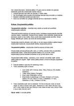 Konspekts 'Politikas pamati', 42.