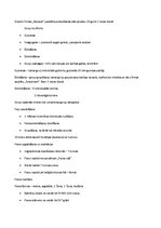 Prakses atskaite 'Izmēģinājumu un prakses saimniecība SIA LLU "Vecauce"', 7.