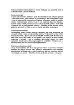 Referāts 'Filosofija 20.gs. Dzīves filosofija, pozitīvisms, eksistenciālisms', 3.