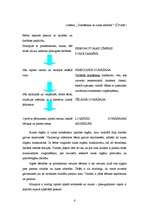 Referāts 'Bērna runas aktivizēšana ģimenē', 6.
