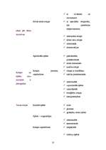 Referāts 'Bērna runas aktivizēšana ģimenē', 20.