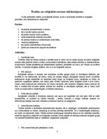 Konspekts 'Normu savstarpējais salīdzinājums', 3.