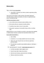 Konspekts 'Biznesa plāns', 1.