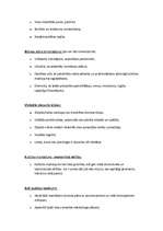 Konspekts 'Biznesa plāns', 4.