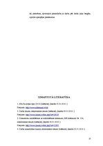 Prakses atskaite 'Darba likumdošana SIA "X"', 27.