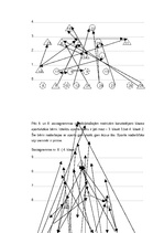 Diplomdarbs 'Bērnu pašizjūtas izpētes iespējas sākumskolā', 46.