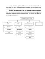 Paraugs 'Organizācijas struktūra', 4.