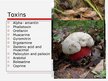 Prezentācija 'Mushroom Poisoning', 6.