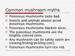 Prezentācija 'Mushroom Poisoning', 10.
