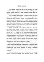 Referāts 'Cēsu kaujas', 1.