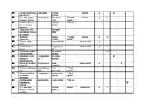 Konspekts 'Tematiskais plānojums sportā 2.klasei', 6.