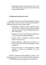 Referāts 'Reklāmkarogu izmantošana Latvijas interneta portālos', 16.