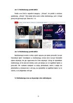 Referāts 'Reklāmkarogu izmantošana Latvijas interneta portālos', 24.