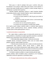 Eseja 'Eksāmens tiesību aktu jaunradē', 2.