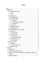 Referāts 'Bērnu valoda tagad un pirms piecpadsmit gadiem', 3.