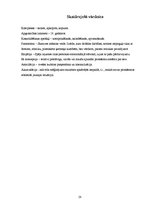 Referāts 'Bērnu valoda tagad un pirms piecpadsmit gadiem', 28.