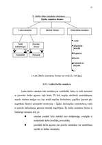 Referāts 'Darbaspēks un tā ekonomiskā nozīme', 15.