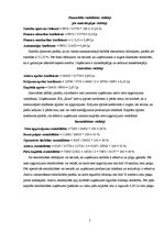 Referāts 'SIA "Roze" finanšu analīze', 5.