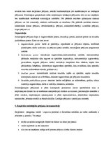 Konspekts 'Biļetes socioloģijā', 5.