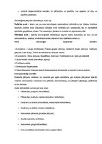 Konspekts 'Biļetes socioloģijā', 6.