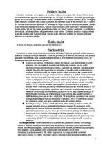 Konspekts 'Redzes fizioloģija', 1.