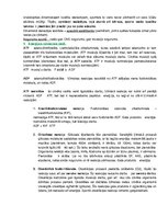 Konspekts 'Cilvēka fizioloģija, konceptuāls apkopojums', 2.