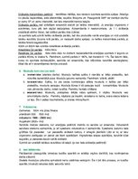 Konspekts 'Cilvēka fizioloģija, konceptuāls apkopojums', 4.