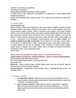 Konspekts 'Cilvēka fizioloģija, konceptuāls apkopojums', 6.