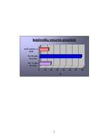 Prezentācija 'Nīderlande grafikos', 2.