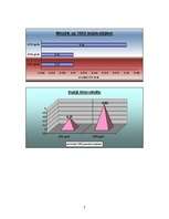 Prezentācija 'Nīderlande grafikos', 7.