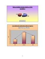 Prezentācija 'Nīderlande grafikos', 8.