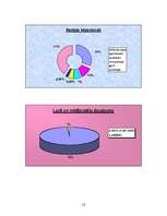 Prezentācija 'Nīderlande grafikos', 12.