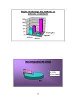 Prezentācija 'Nīderlande grafikos', 13.