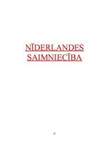 Prezentācija 'Nīderlande grafikos', 22.