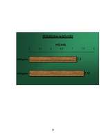 Prezentācija 'Nīderlande grafikos', 28.