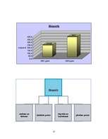 Prezentācija 'Nīderlande grafikos', 35.