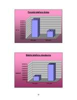 Prezentācija 'Nīderlande grafikos', 39.