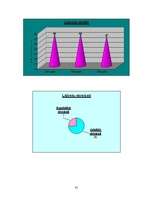 Prezentācija 'Nīderlande grafikos', 41.