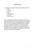 Referāts 'Lins', 6.