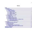 Referāts 'Stratēģijas izvēle un realizēšana uzņēmumā SIA "Cido Grupa"', 3.