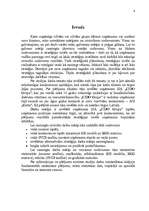 Referāts 'Stratēģijas izvēle un realizēšana uzņēmumā SIA "Cido Grupa"', 4.