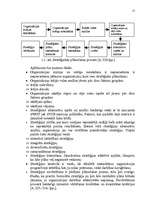 Referāts 'Stratēģijas izvēle un realizēšana uzņēmumā SIA "Cido Grupa"', 15.