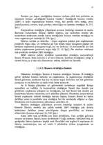 Referāts 'Stratēģijas izvēle un realizēšana uzņēmumā SIA "Cido Grupa"', 17.